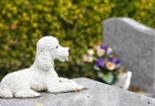 Кремация собак