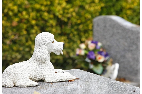 Кремация собак